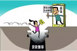 阆中贷款清欠服务