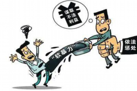 阆中债务清欠服务